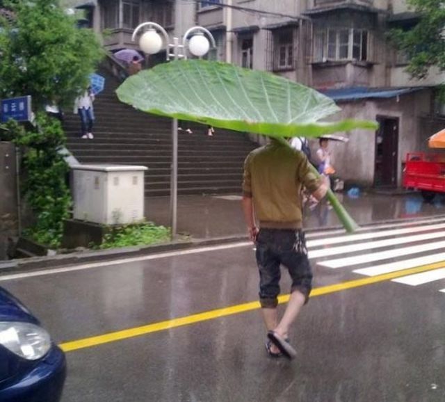 Umbrellas are too mainstream.