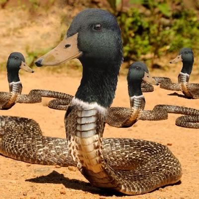 I tried to text "for f..k sakes" and it auto corrected to "four duck snakes" so I googled that...wasn't disappointed