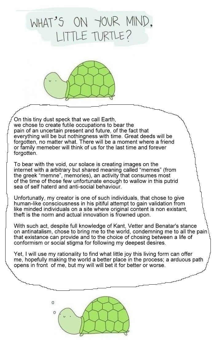 I have never felt more empathy for a turtle