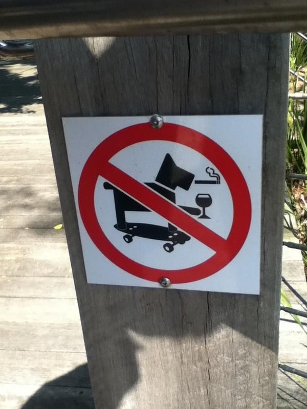 I for one, would welcome the world's coolest dog