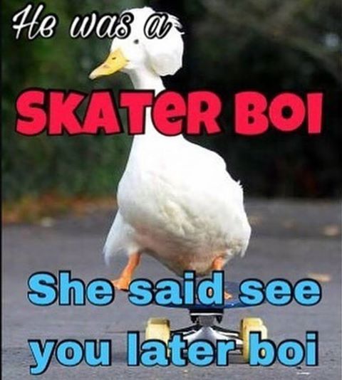 boi