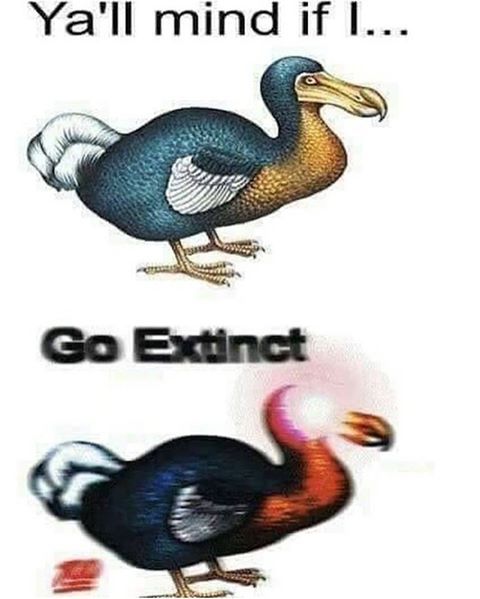 exBinct
