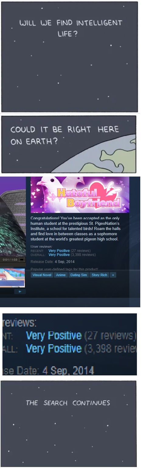 Why...Tell me why...