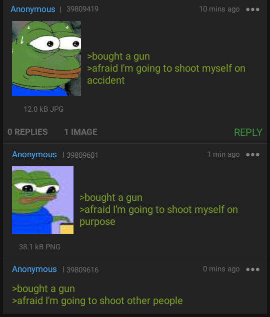 Anon buys a gun