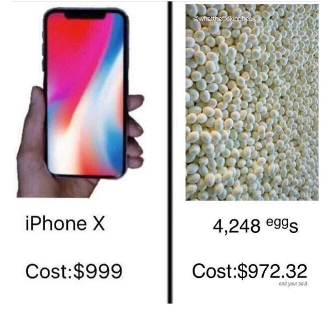 SEED