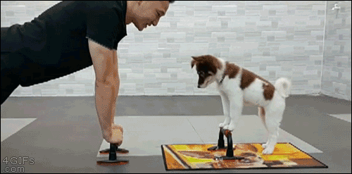 Puppy Push-Ups with my friend