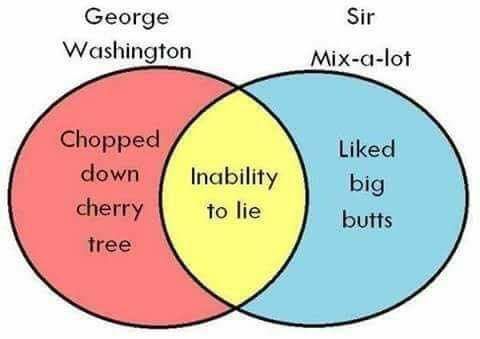 Washington vs. Mix-A-Lot