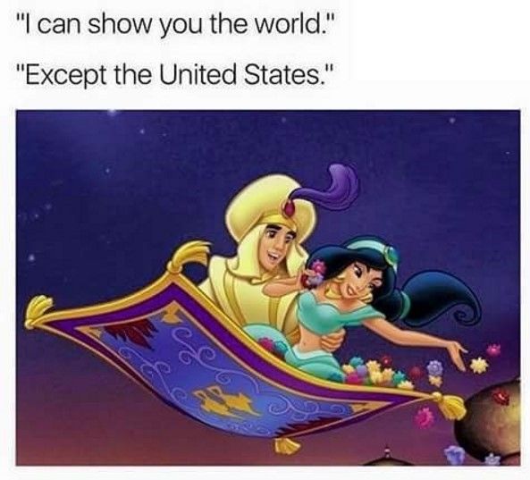 Could they fly over the wall?