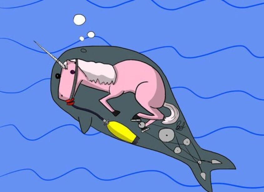 Why do we never see unicorns and narwhals in the same place?