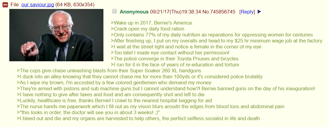 Anon is in bernie's America