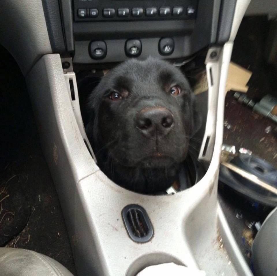 The mechanic says he's discovered why my transmission has been running so ruff.