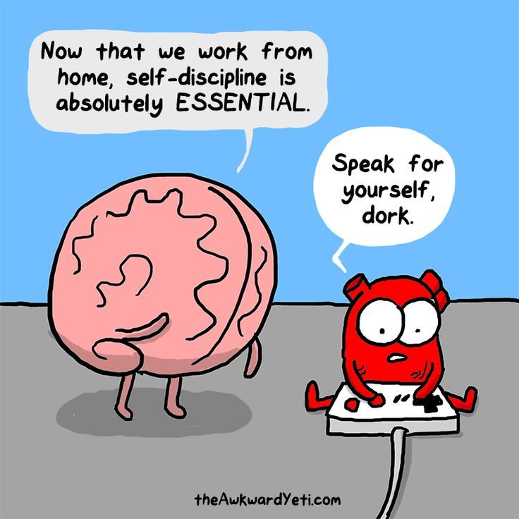 Work from home dillema. So very true. The awkward yeti comics
