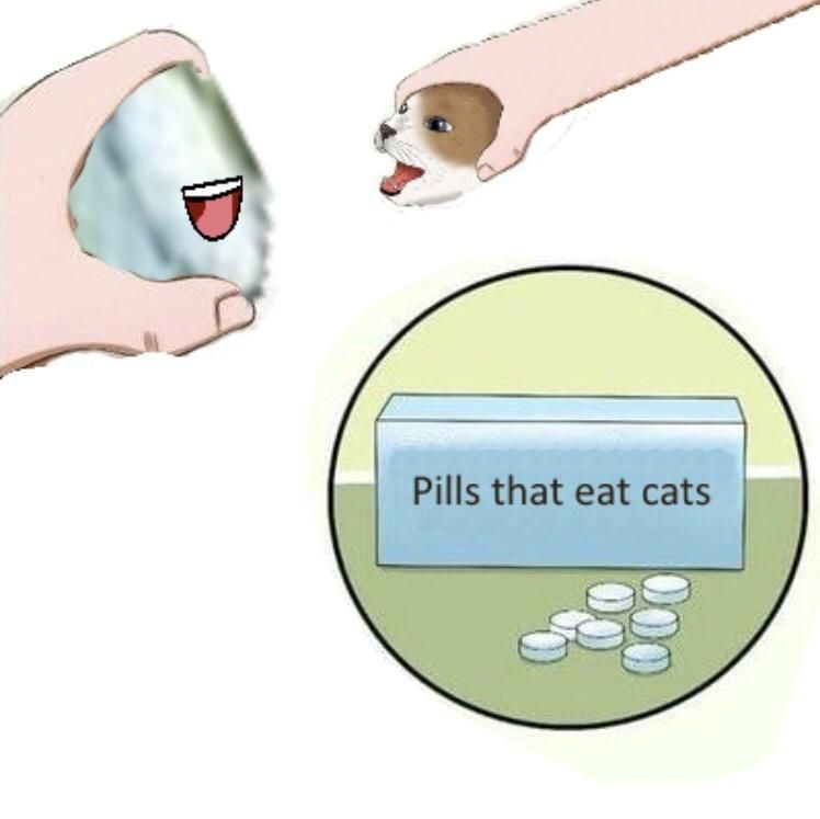 pill eat cat *VERY GRAPHIC*