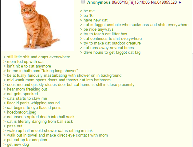 Anon has a cat