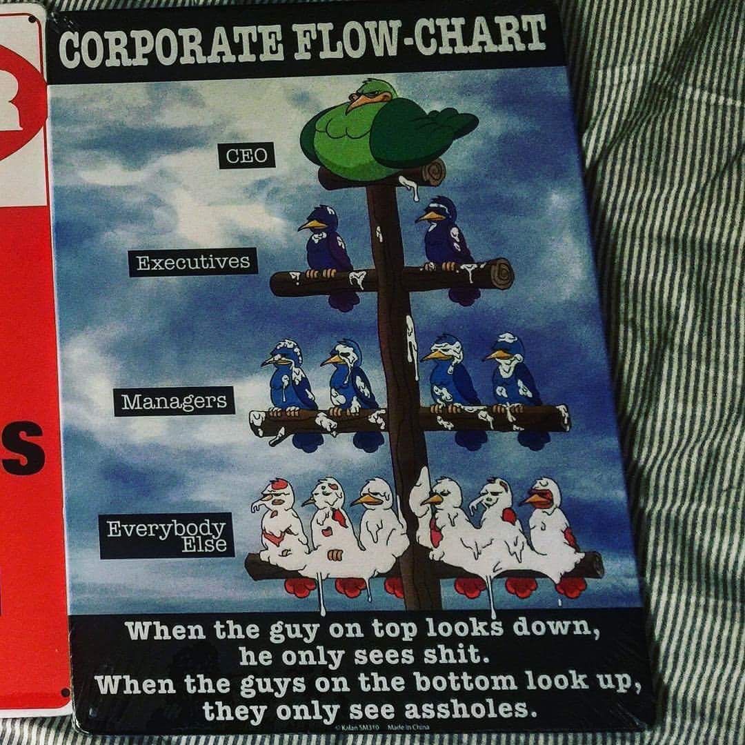 Corporate Flow-Chart