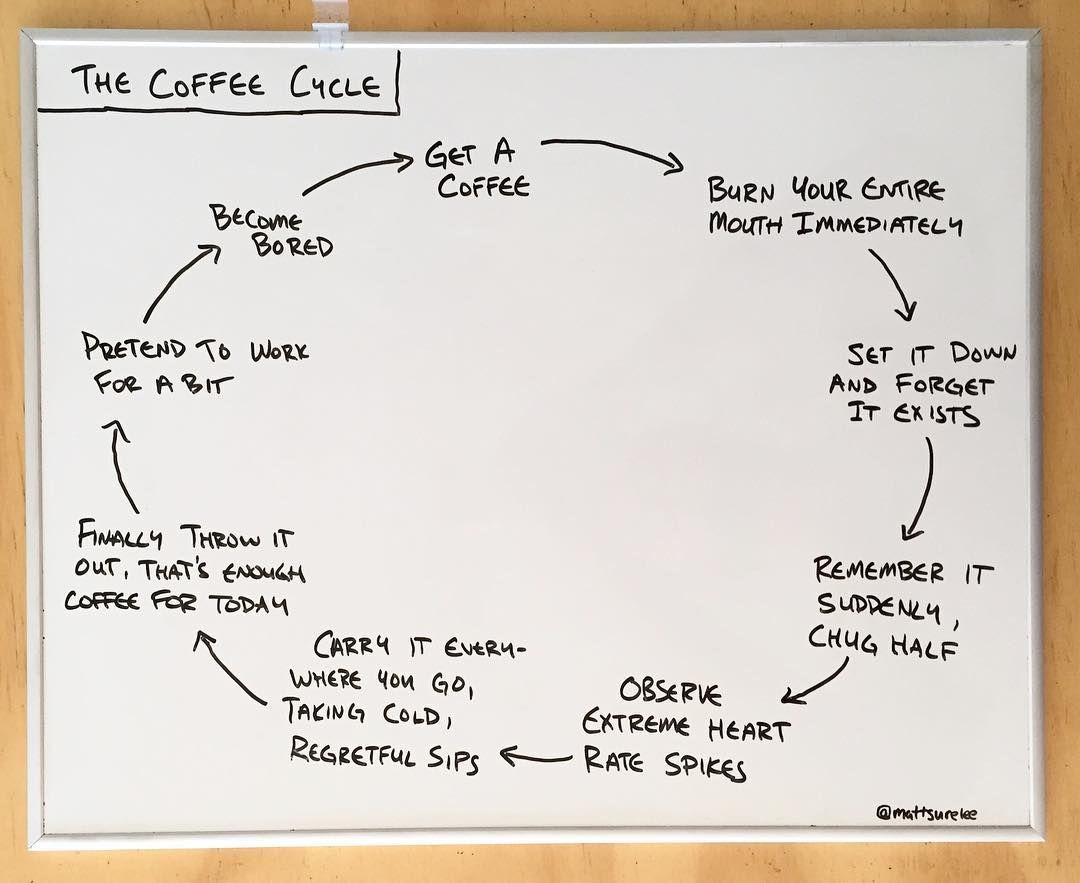The coffee cycle