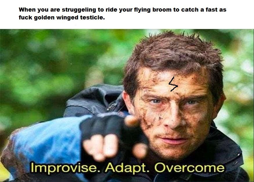 Why is he chasing it tho ¯\_(>_>)_/¯