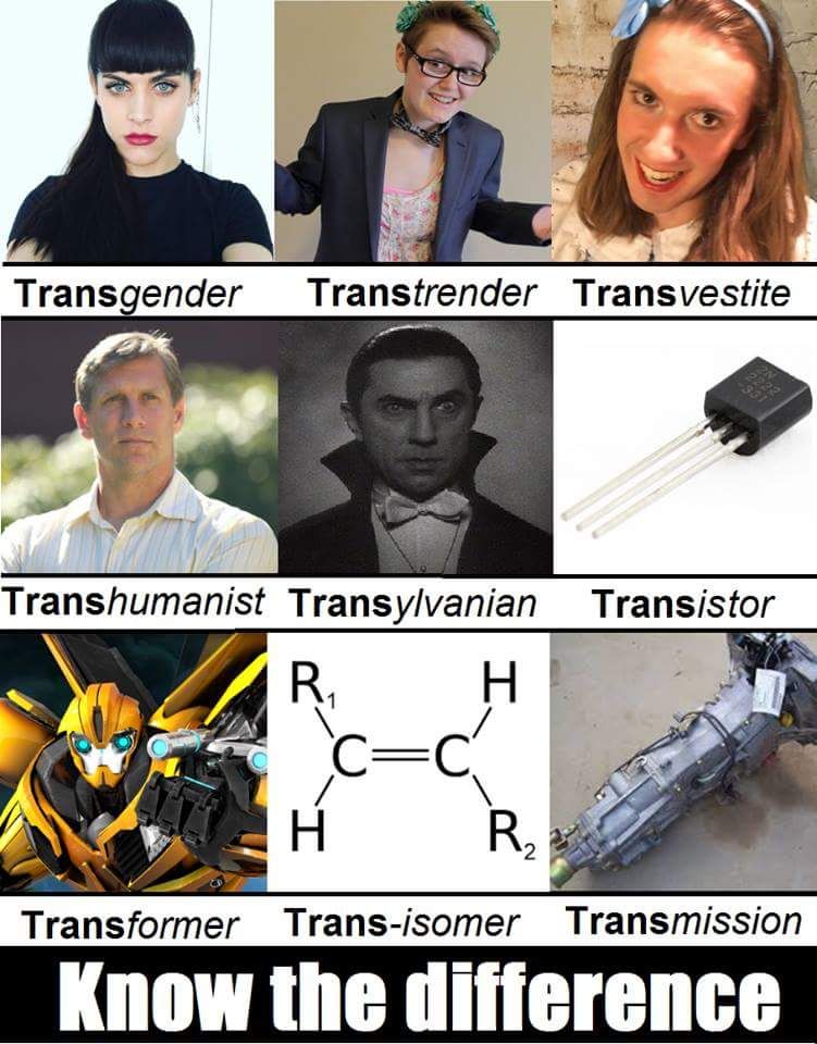 Trans? You need to be more specific.