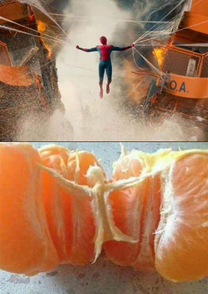 Spider-Mandarin, Spider-Mandarin, Does whatever a citrus can