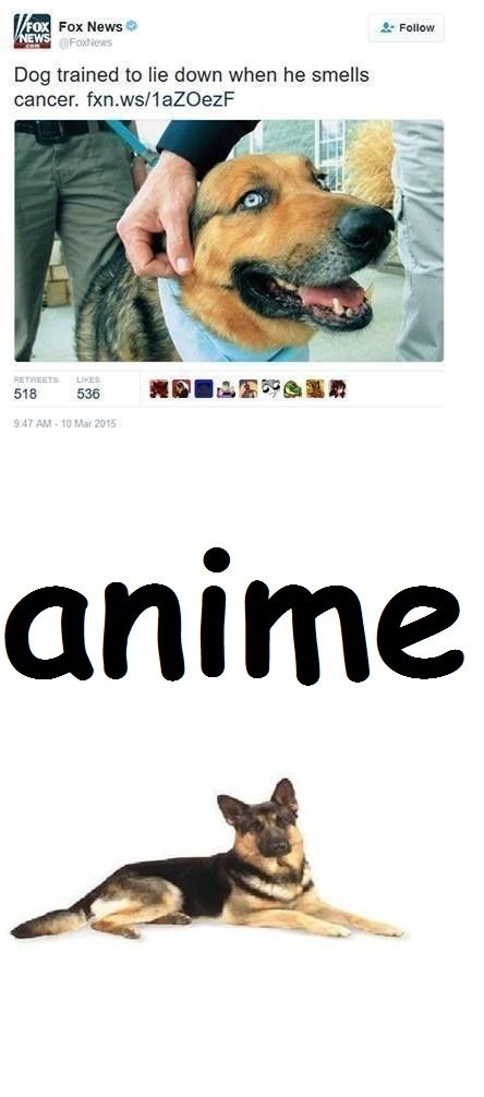 anime is cancer