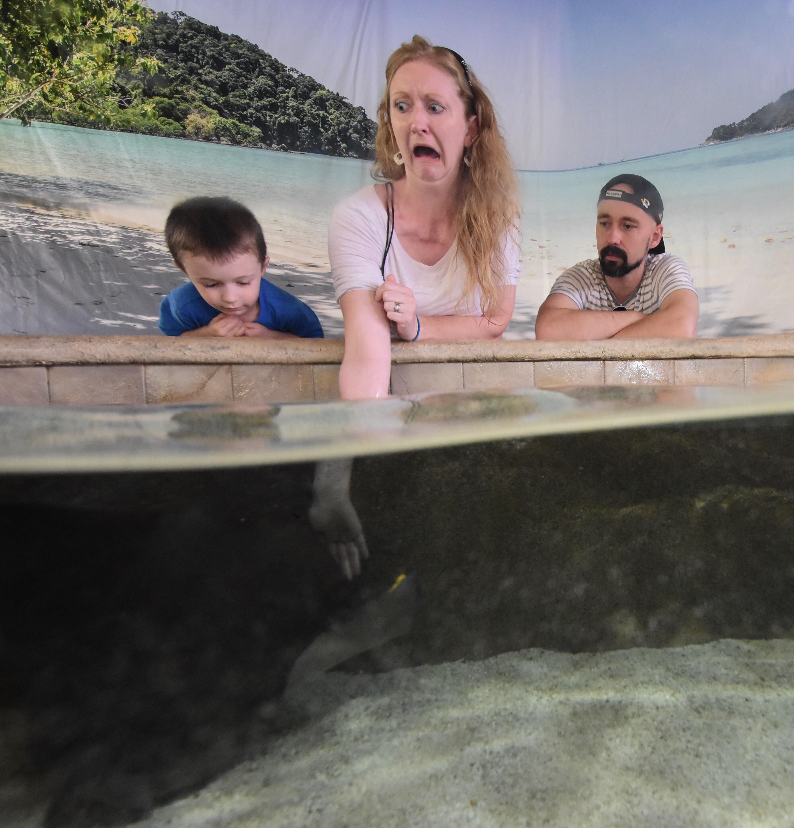 I think my wife wasn't quite prepared for the sting ray to take the food form her hand.