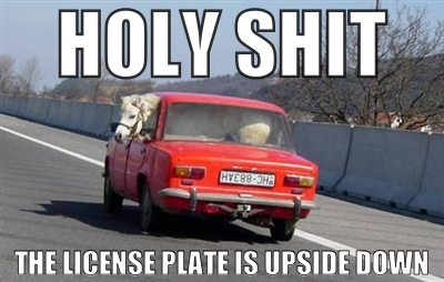 Horse in a red Lada