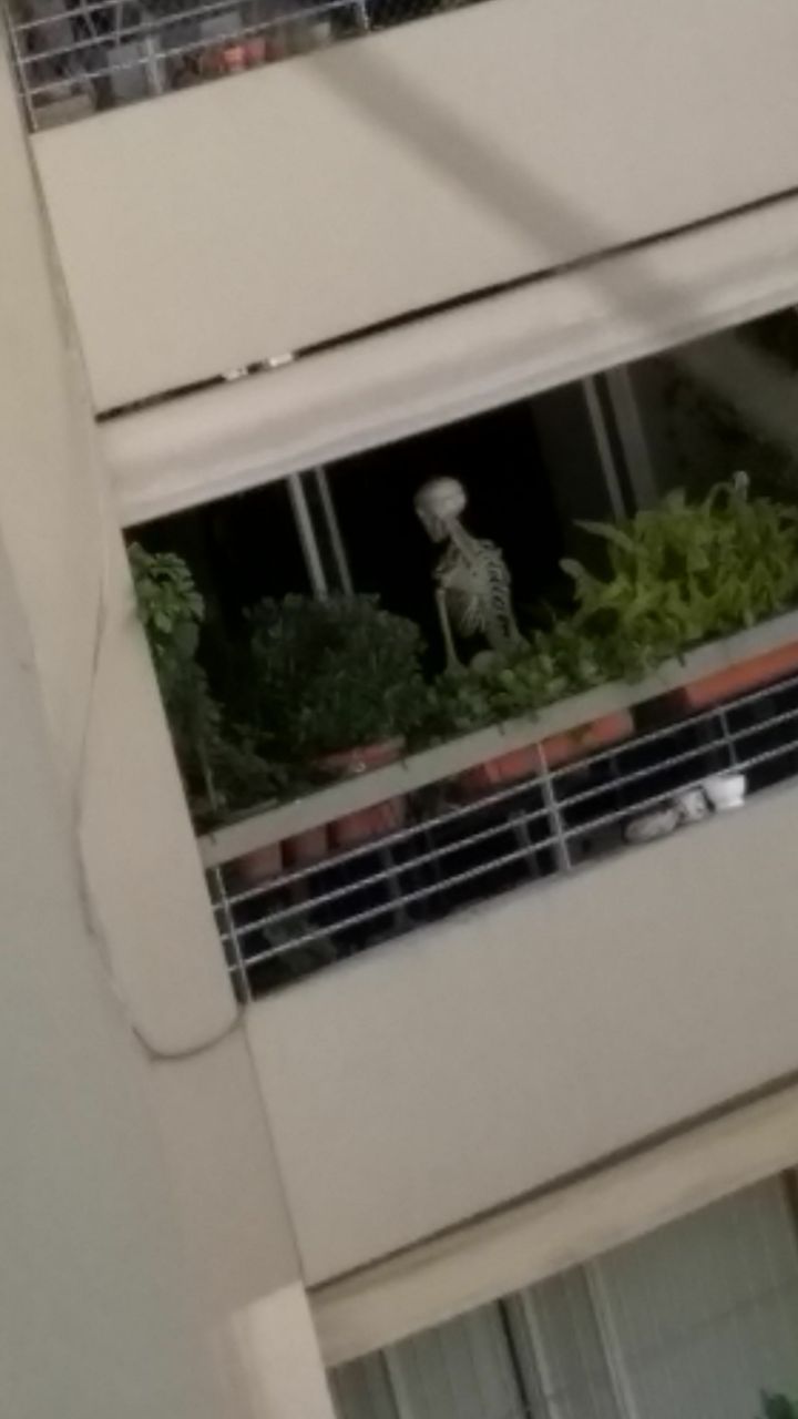 Doot doot mother***er