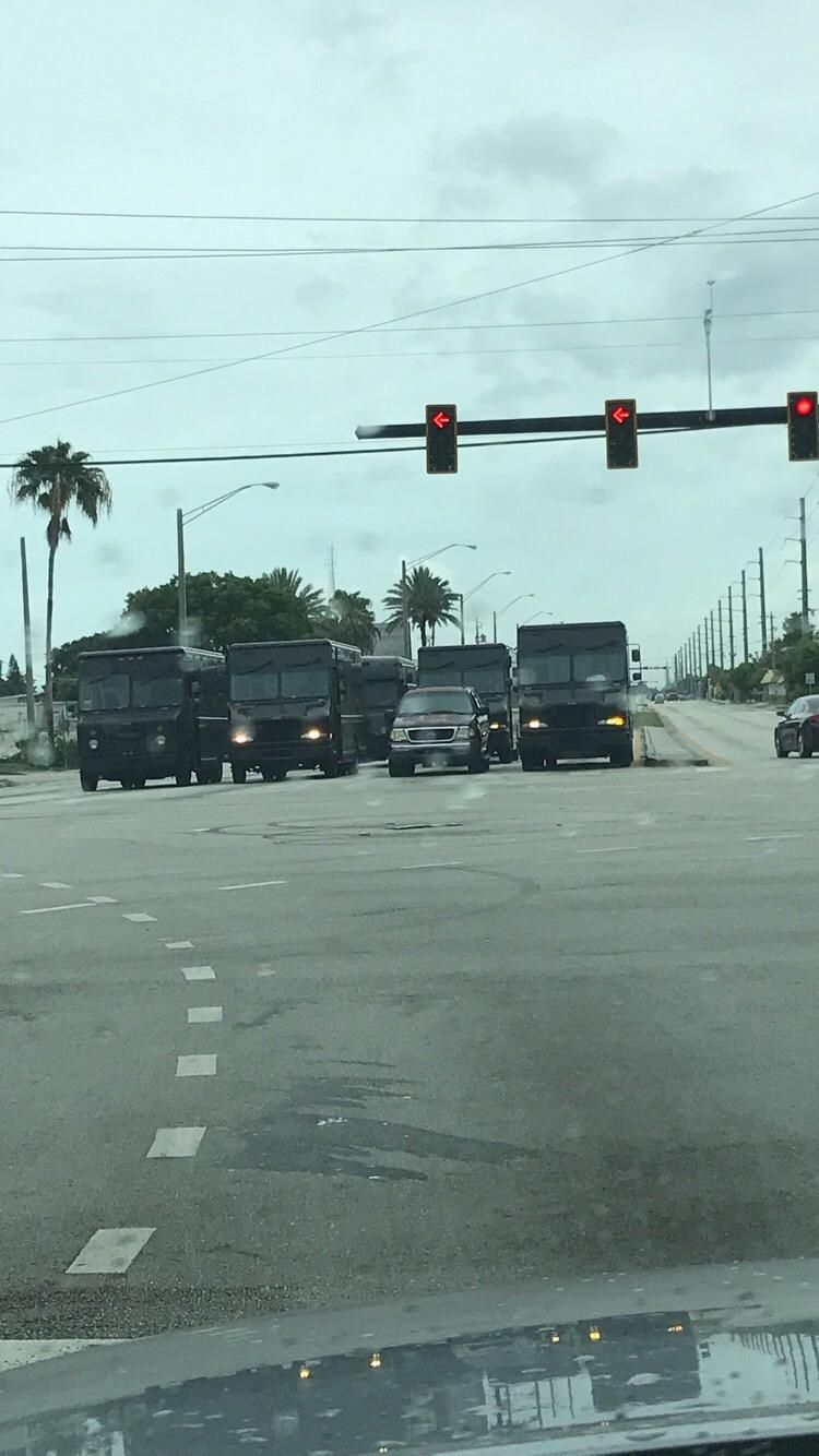 A wild herd of UPS trucks corner their prey