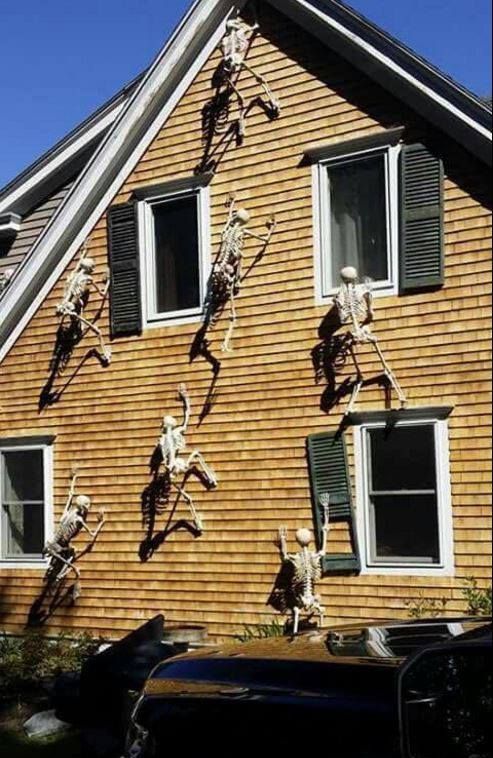 the guy who lives there. Yes, he's a ***boi