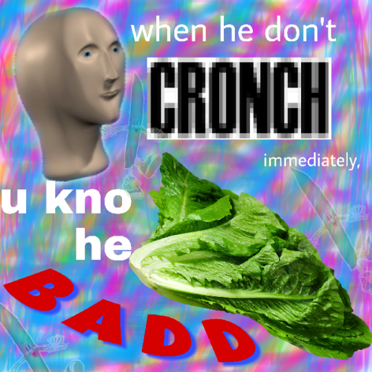 Ｃ　Ｒ　Ｏ　Ｎ　Ｓ　Ｈ