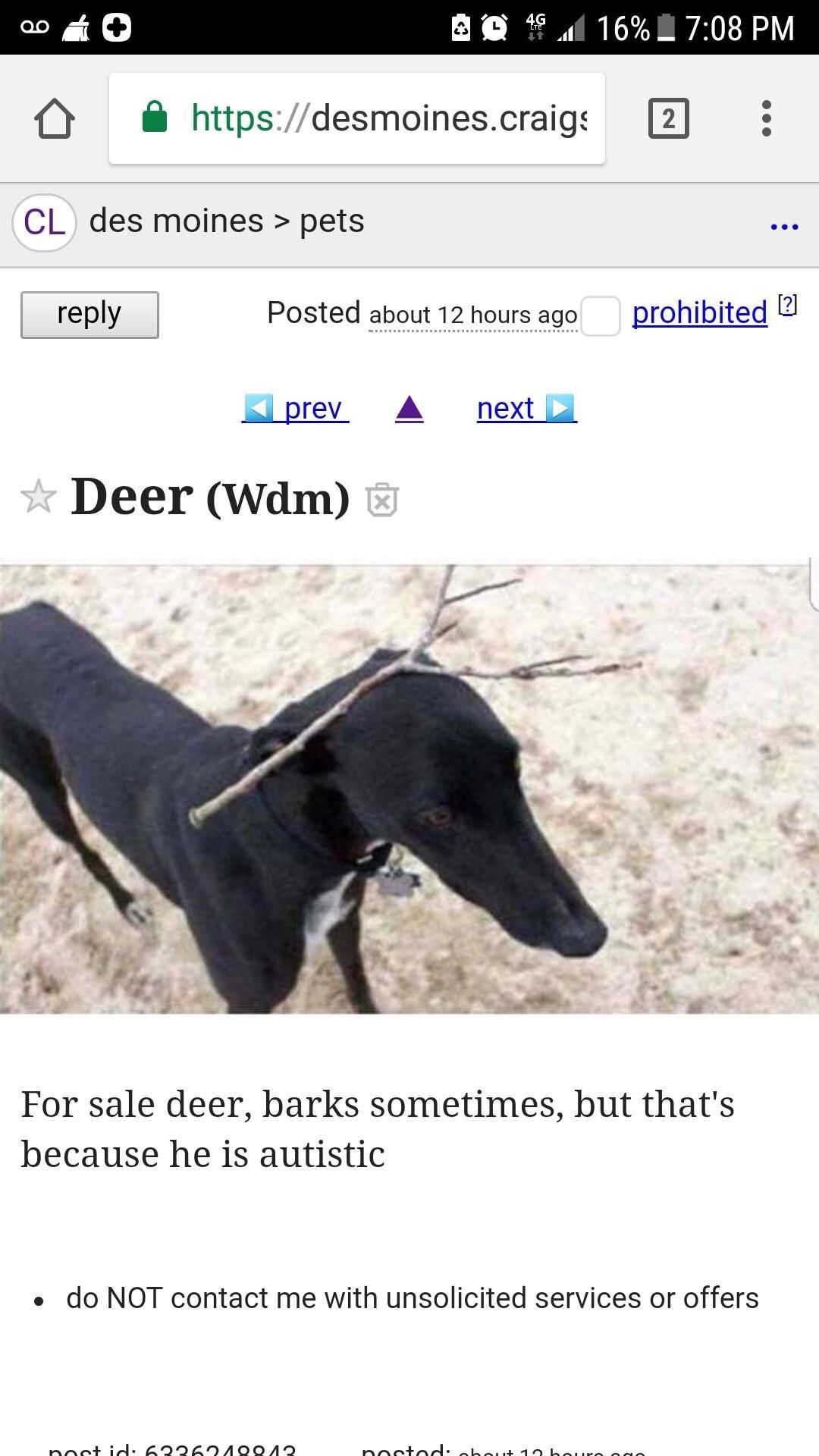 This deer for sale on Craigslist