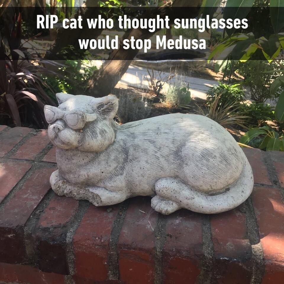 RIP Cat