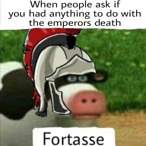 More Roman memes coming