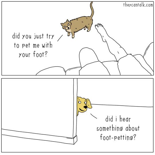 Foot pets