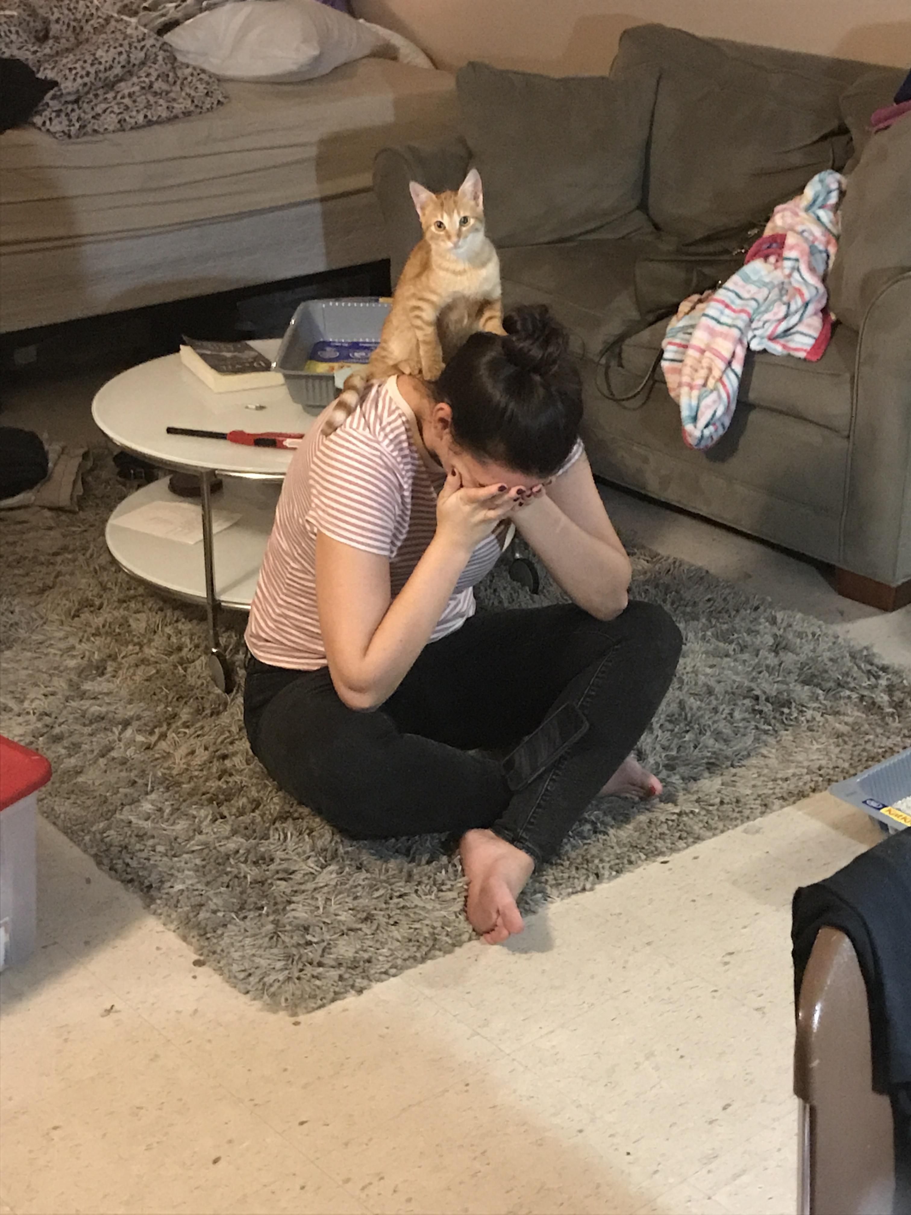 We found a home for a stray kitten we picked up last week. My friend is not adjusting to him leaving her apartment very well.