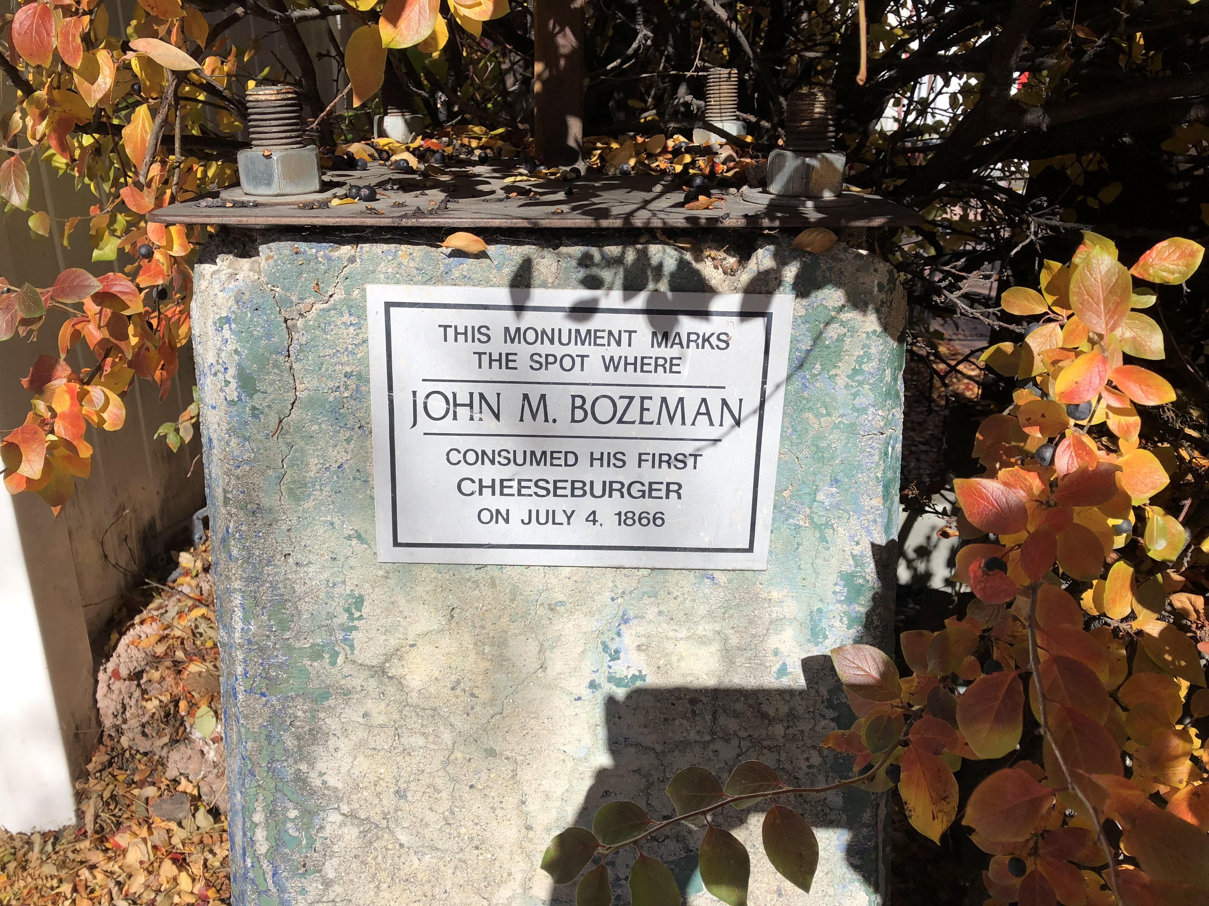 Found this in Bozeman, MT