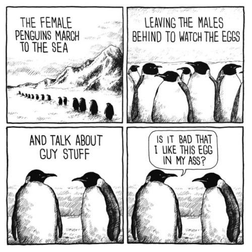 Penguins just like us