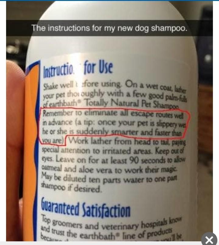 Instructions for dog shampoo