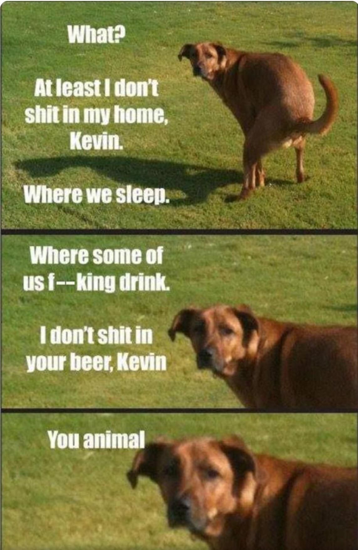 Yeah Kevin, WTF?