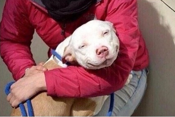 when your grandma tells your mom to leave you alone