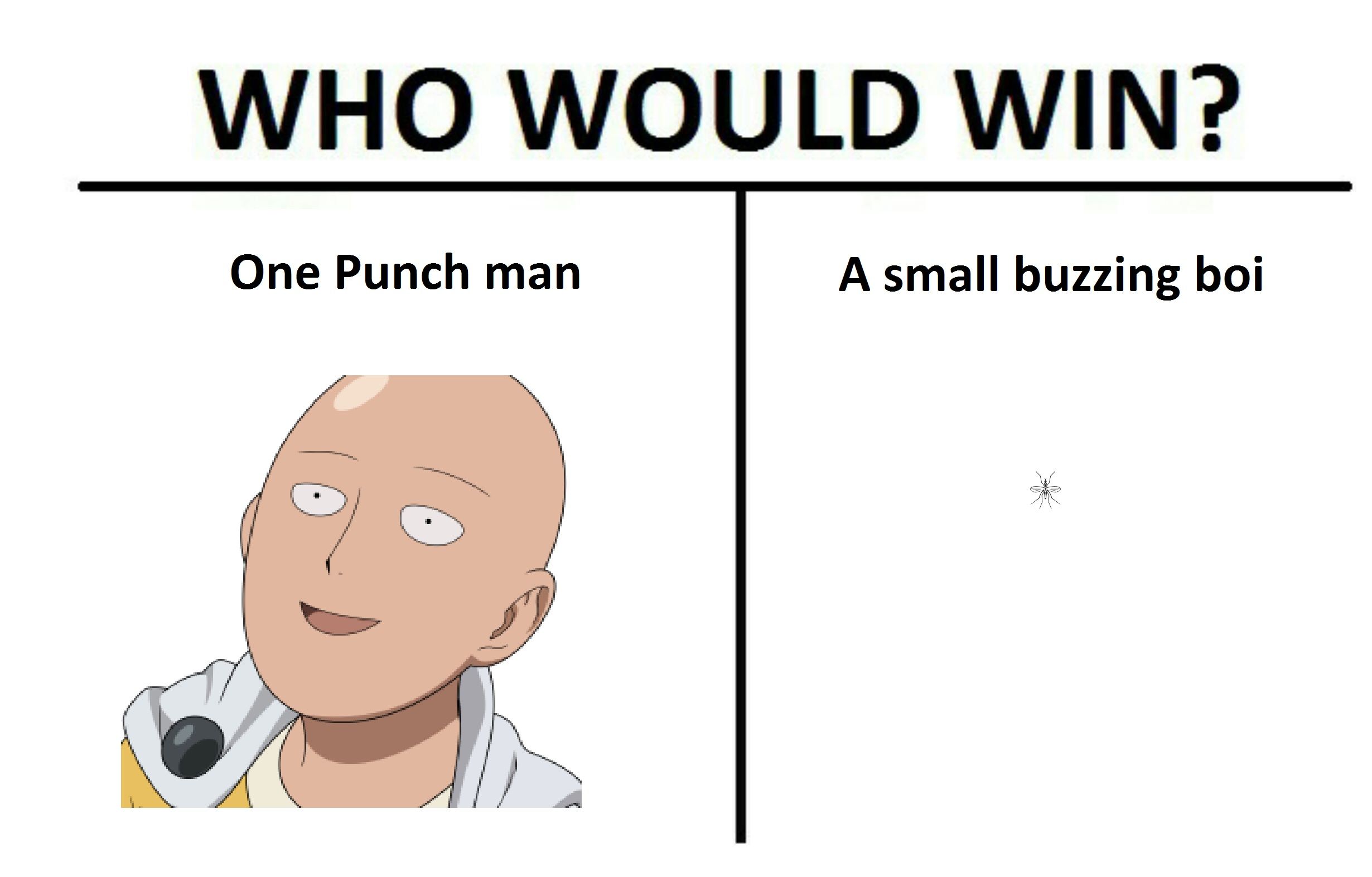 Don't punch your Screen, it's just an image