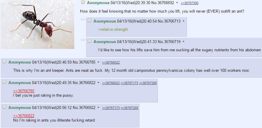 /fit/ on ants