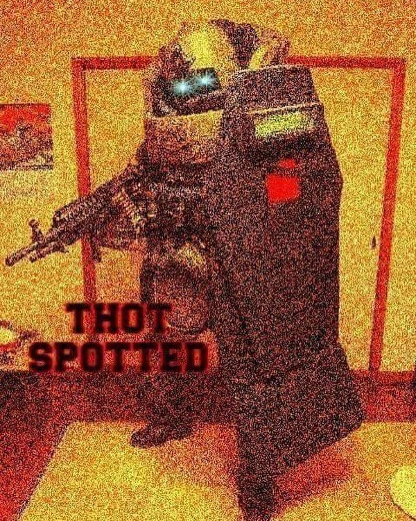 I get the gun, but is the shield needed