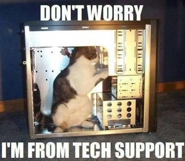 Techcat