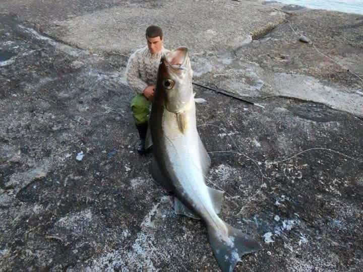 When fishing, always bring an action figure