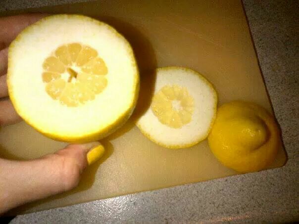 Worst "lemon" ever.