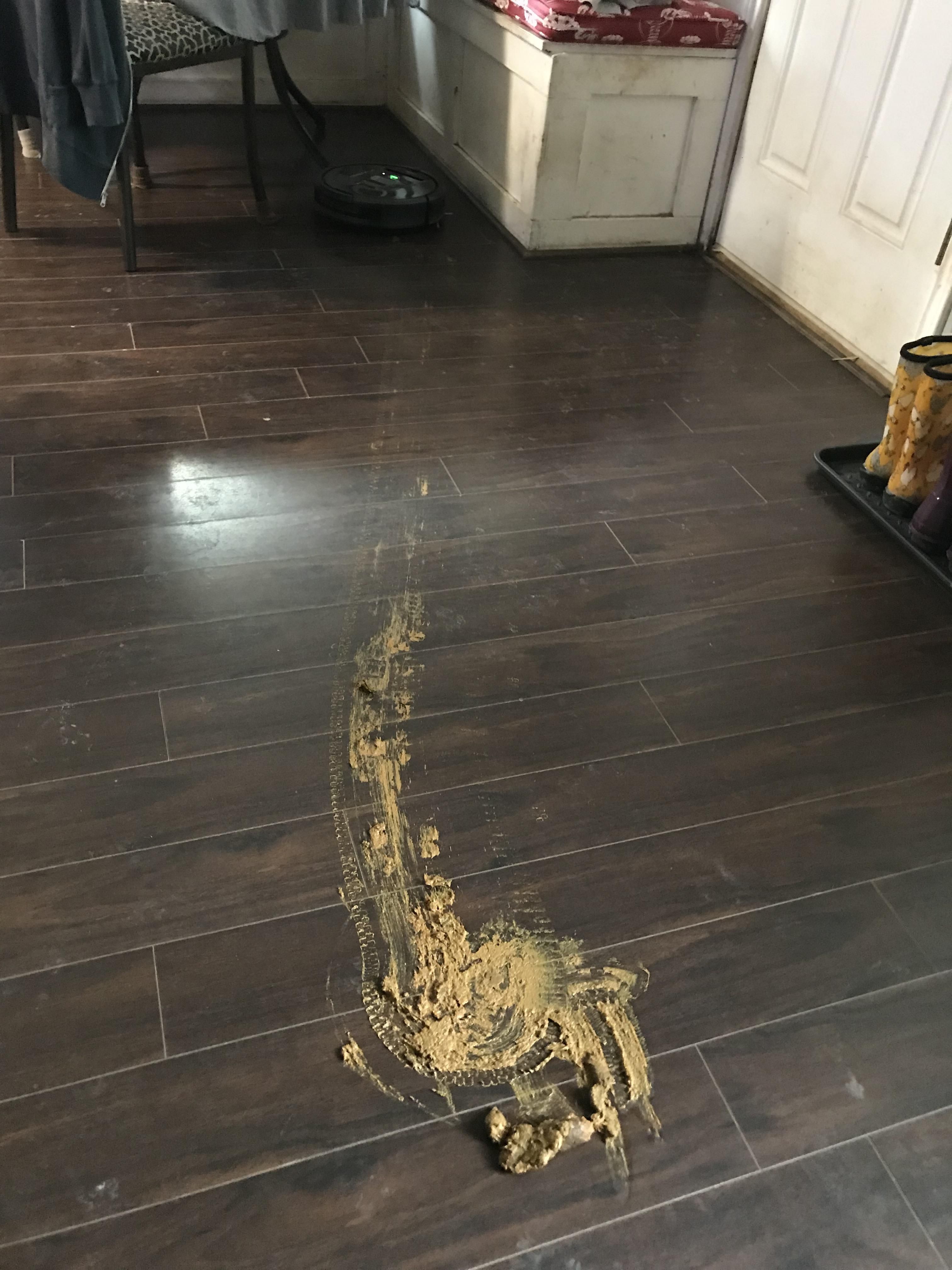 Don’t let your dog be in the same room as your robot vacuum unsupervised