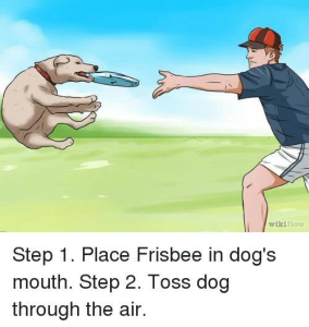 How to train your doggo