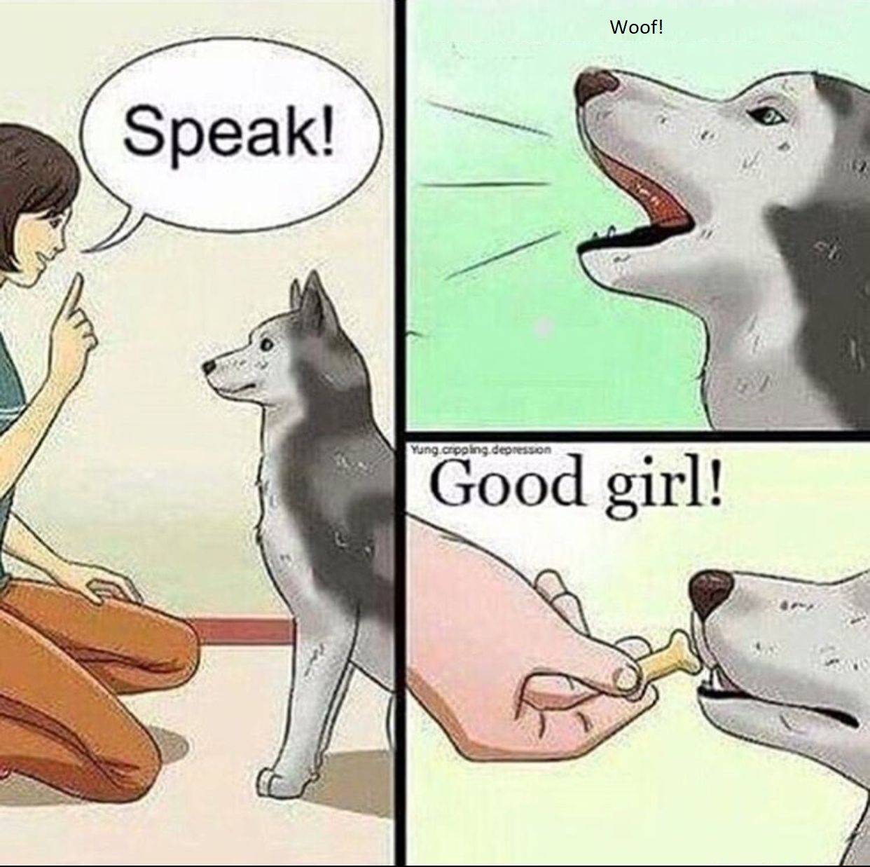 More (low quality) OC