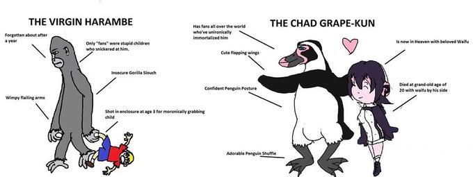 the chad okatu